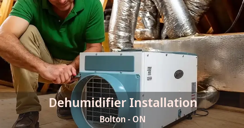 Dehumidifier Installation Bolton - ON