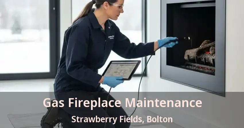 Gas Fireplace Maintenance Strawberry Fields, Bolton - ON