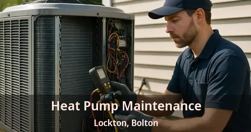 Heat Pump Maintenance Lockton, Bolton - ON