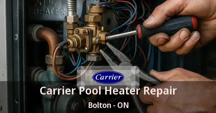 Carrier Pool Heater Repair Bolton - ON